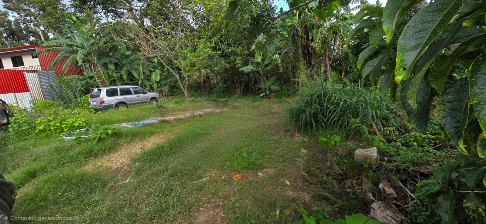 Fotografía 1 de Terreno, Alajuela, Naranjo 10158-1