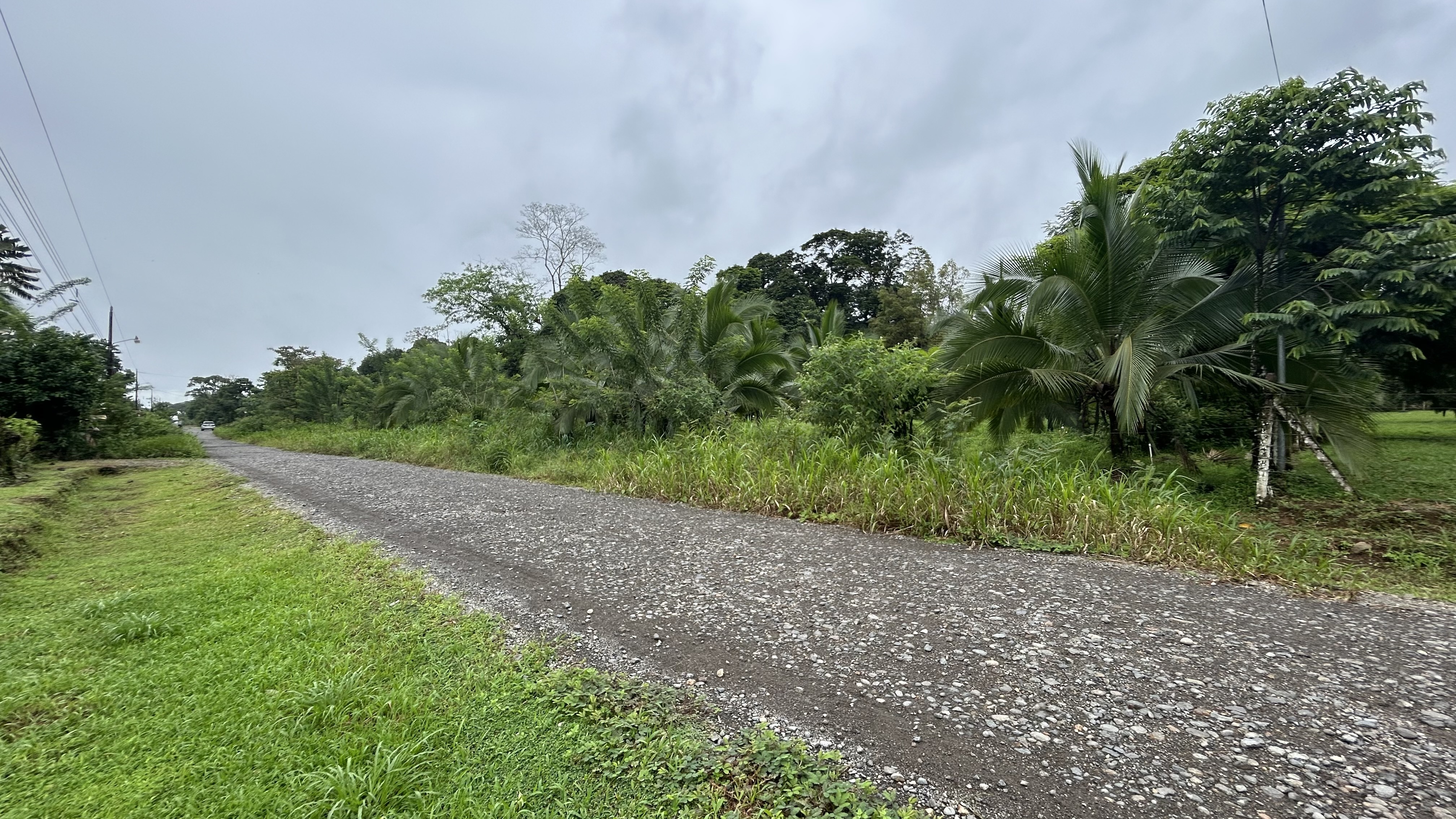Fotografía 1 de Finca Heredia Sarapiquí (10346-1)