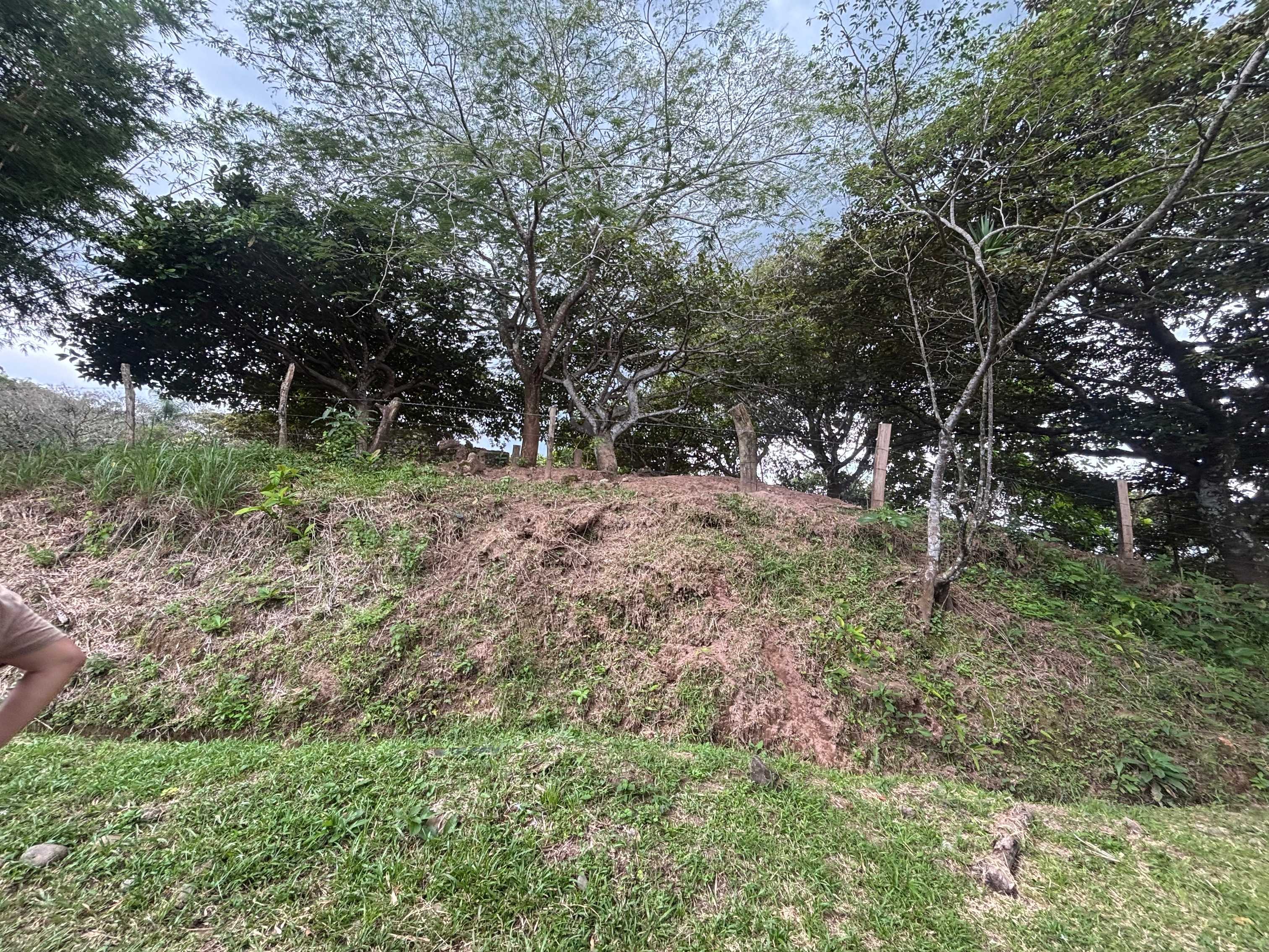 Fotografía 1 de Terreno, San Ramón, Alajuela 7663-1
