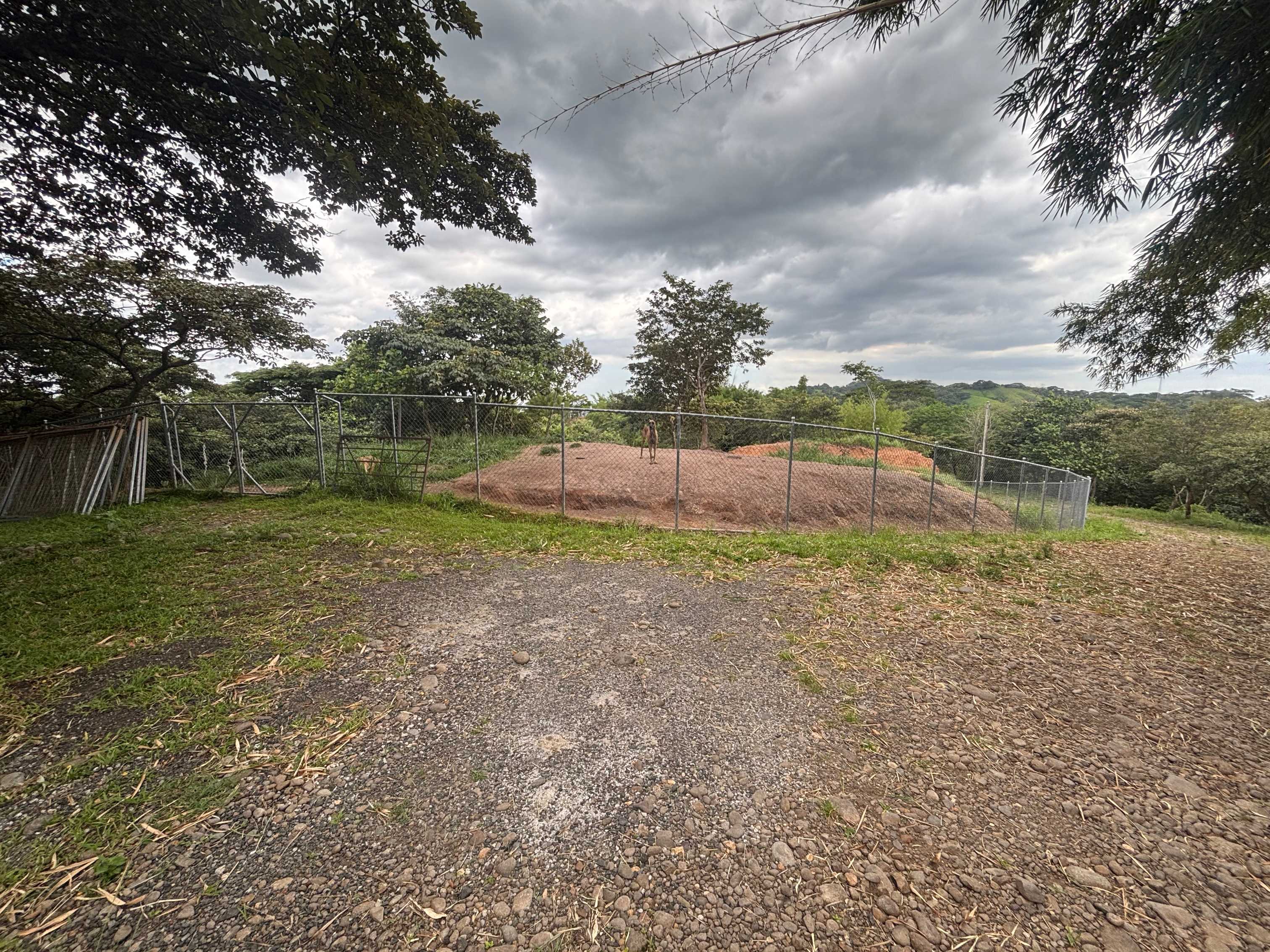 Fotografía 1 de Terreno, San Ramón, Alajuela 9681-1