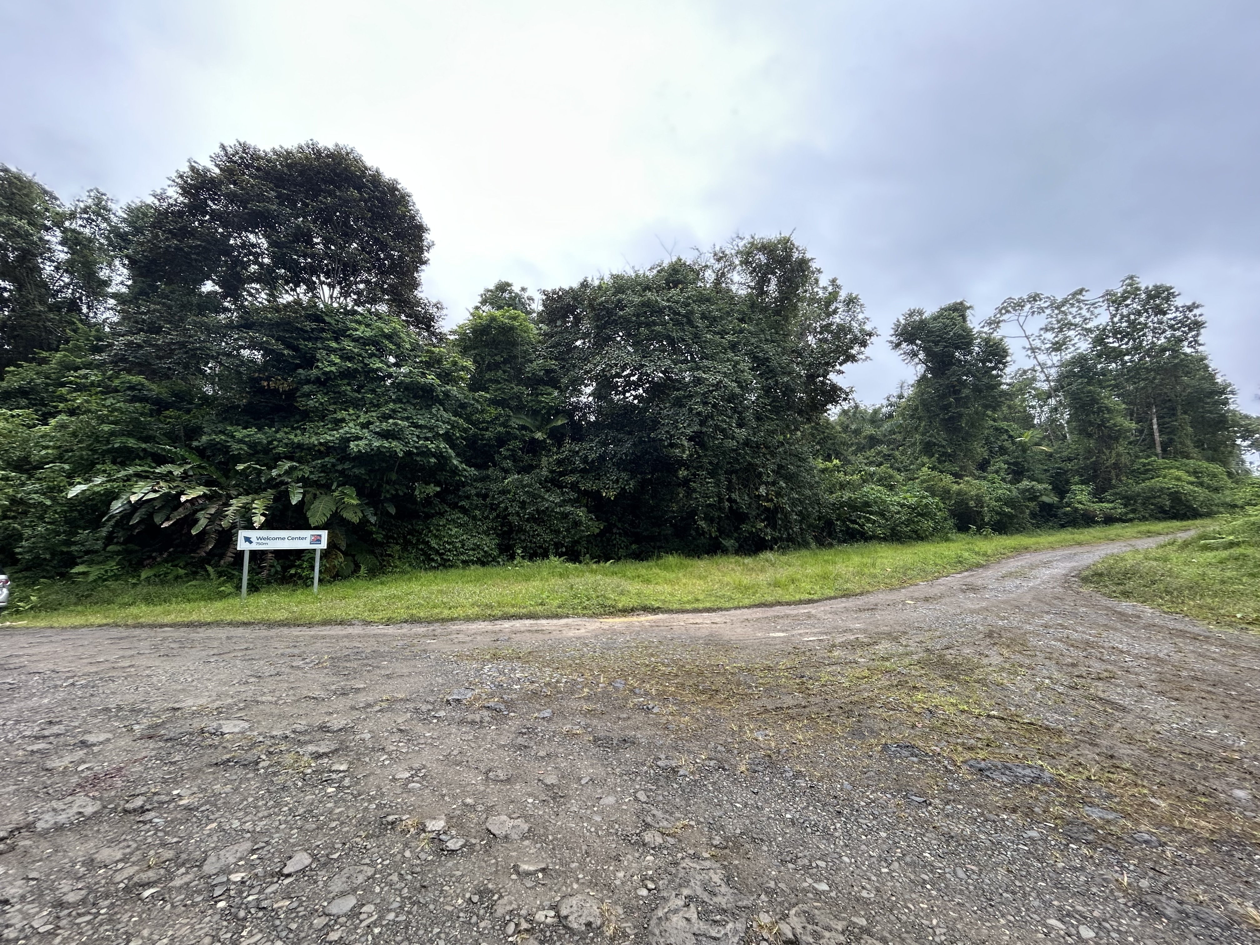 Fotografía 1 de Finca Limón Limón (9865-1)