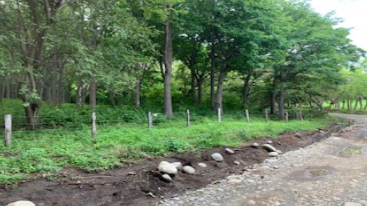 Fotografía 1 de Lote agrícola en Guanacaste (8664-1)