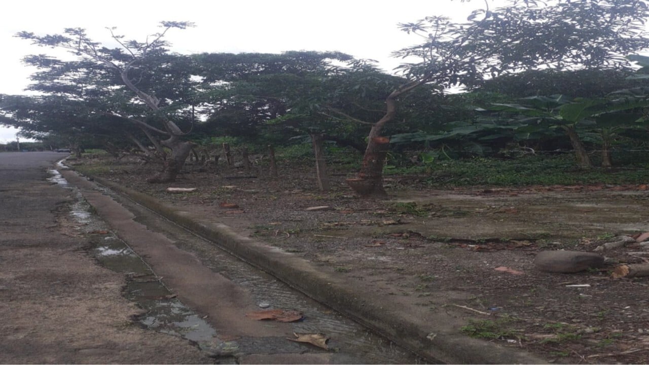 Photo 1 of Lote en Cañas, Guanacaste (8094-3)