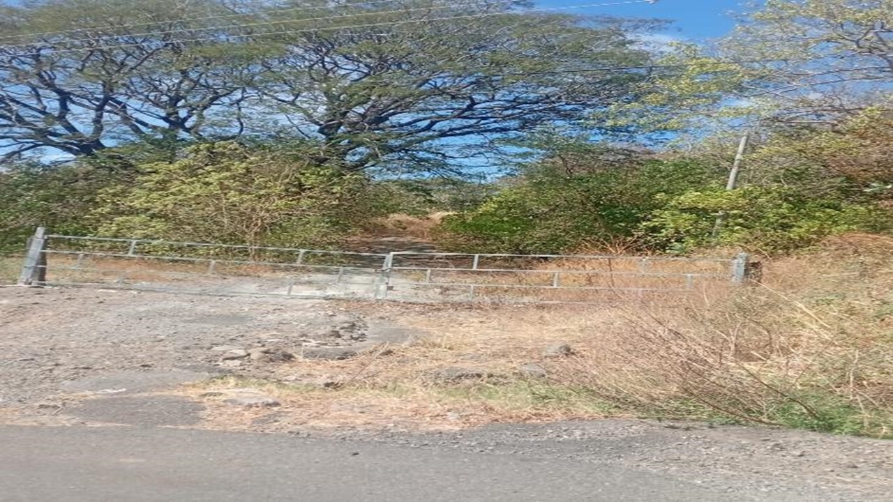 Fotografía 1 de Lote en Cañas, Guanacaste (8094-2)