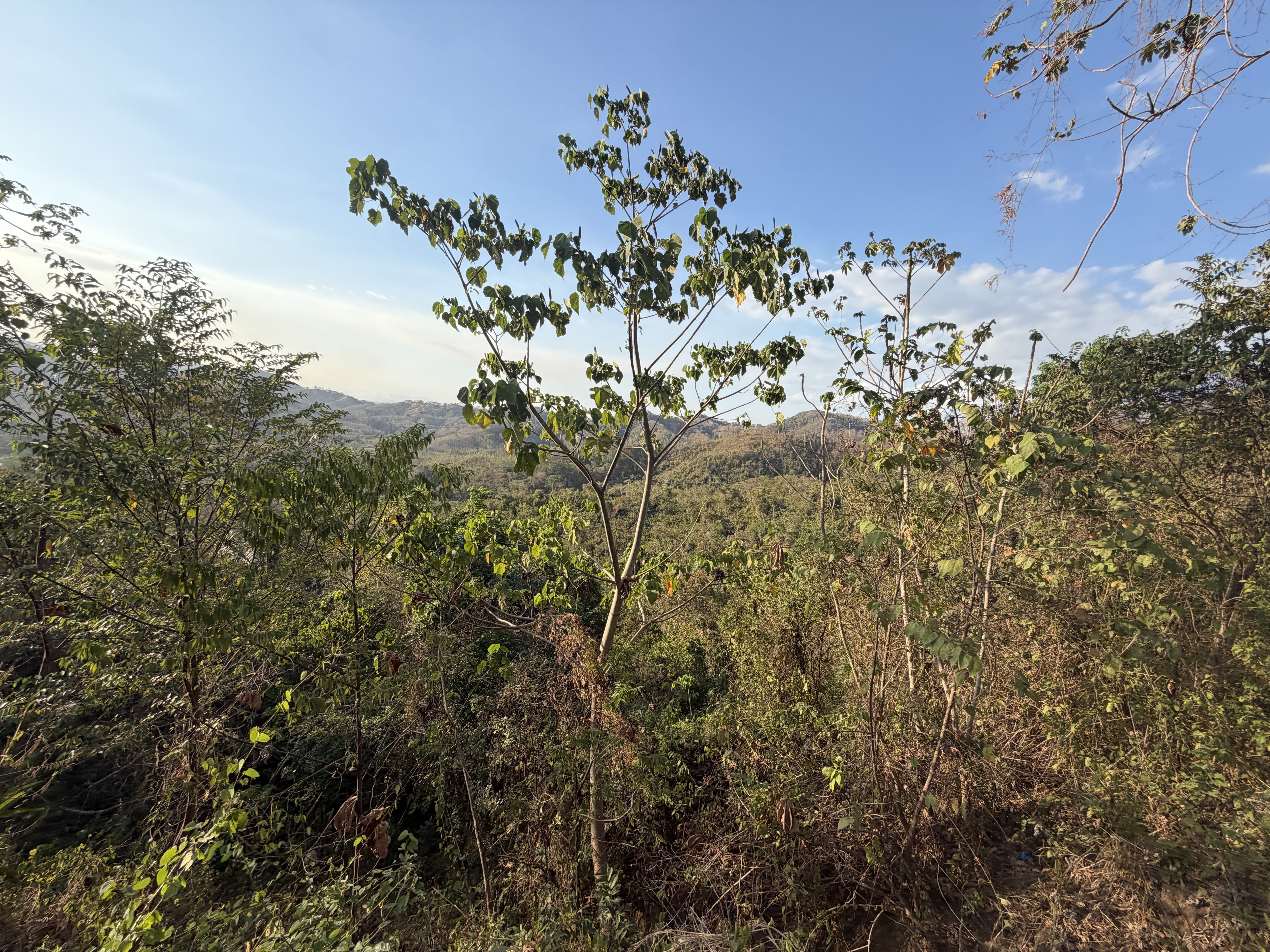 Photo 1 of Puntarenas, Jicaral, Finca (8885-1)
