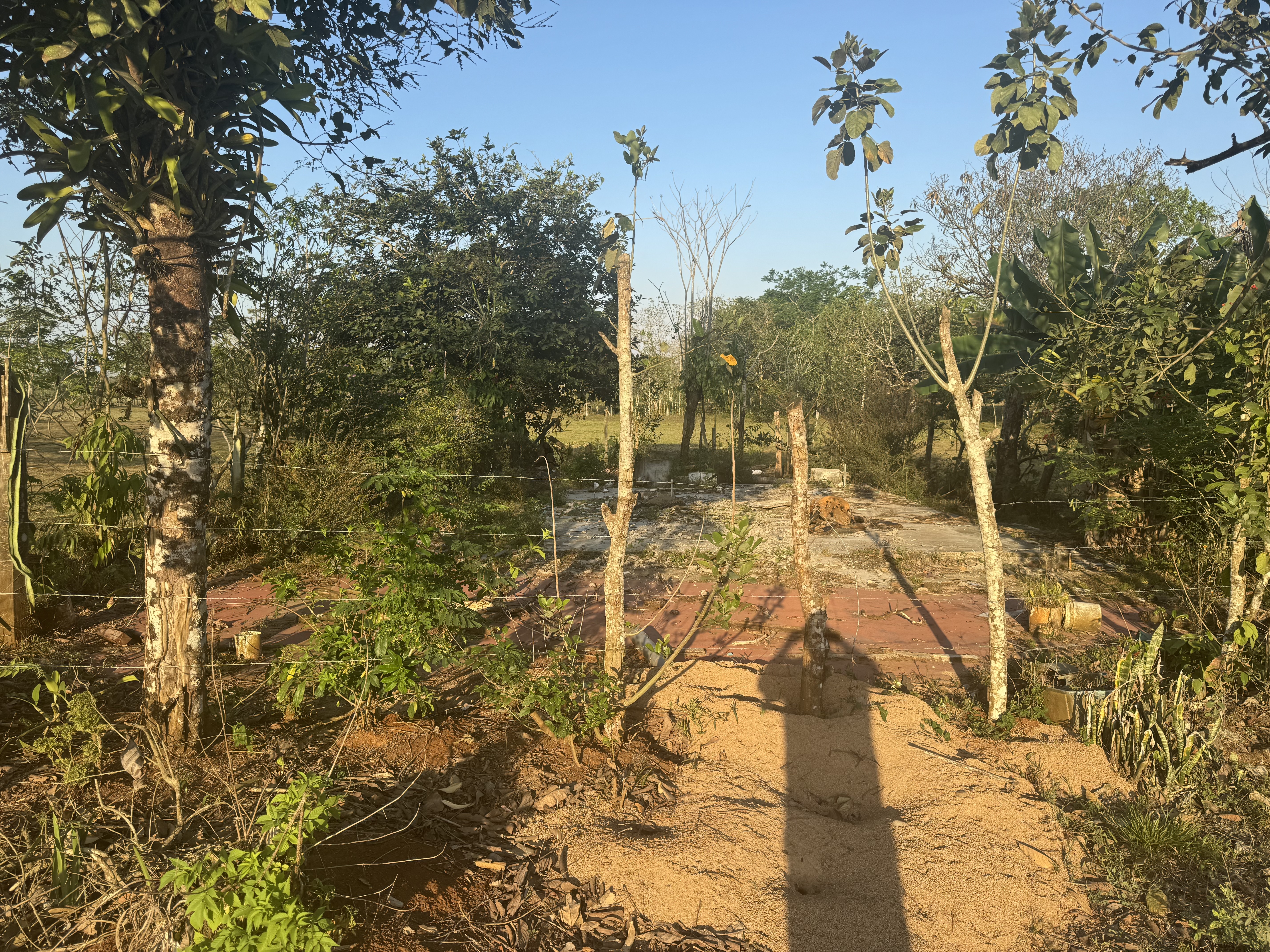 Fotografía 1 de Finca Alajuela Upala 9830-1