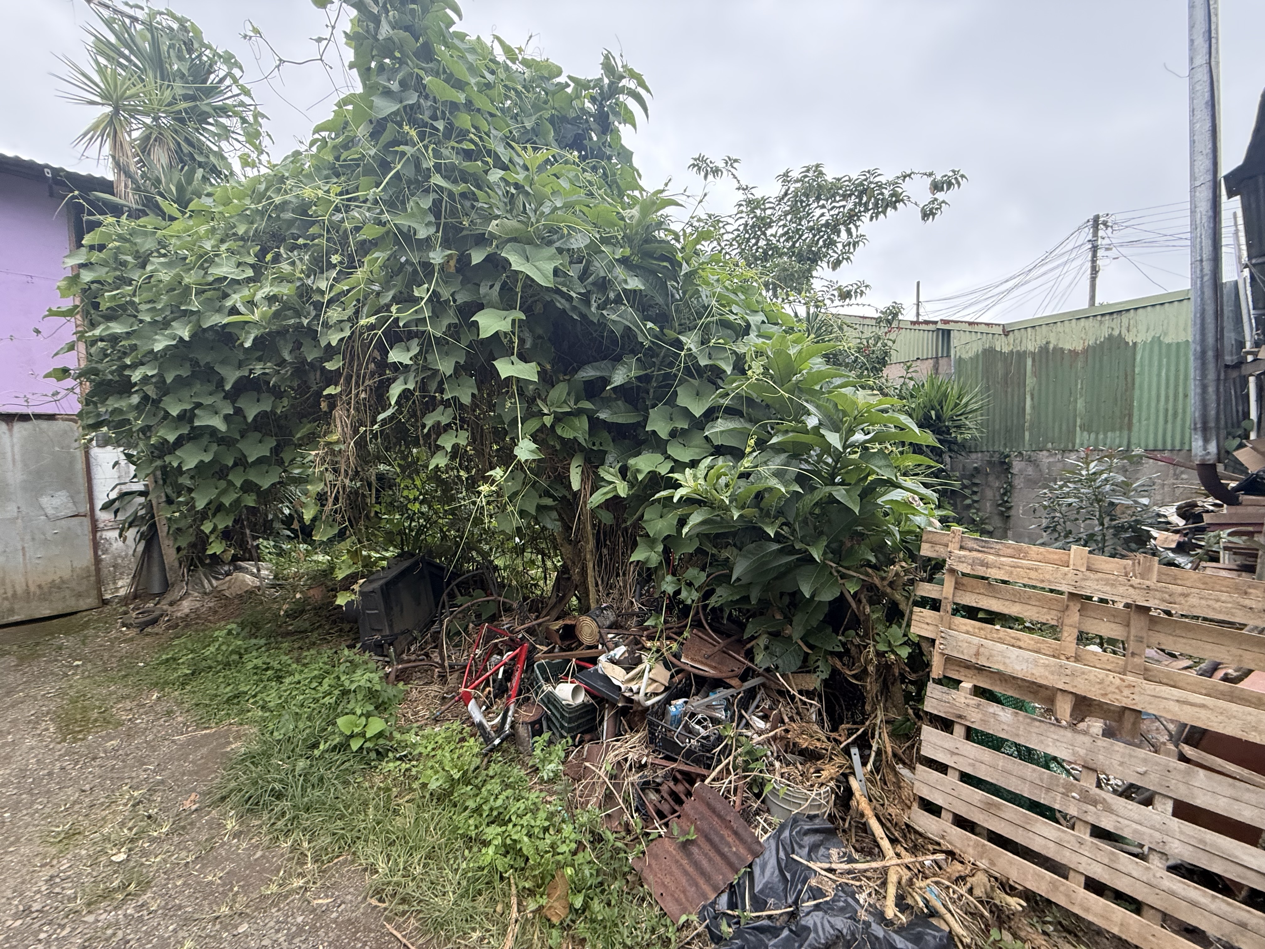 Photo 1 of Lote, San José, Tarrazú, Santa Cecilia (8482-1)