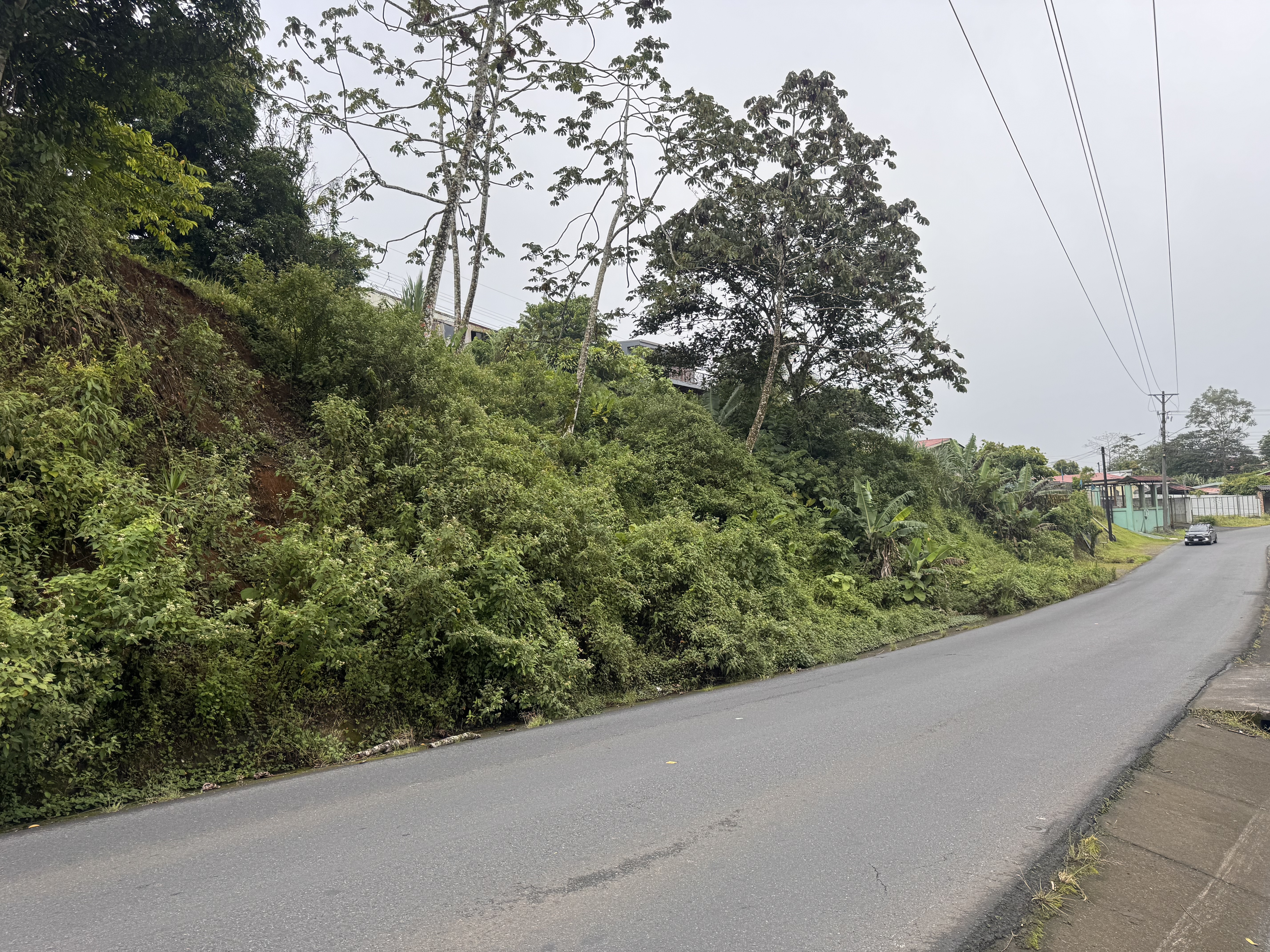 Fotografía 1 de Terreno Alajuela San Carlos 10408-1