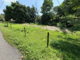 Fotografía 1 de Terreno Puntarenas Osa (9533-1)