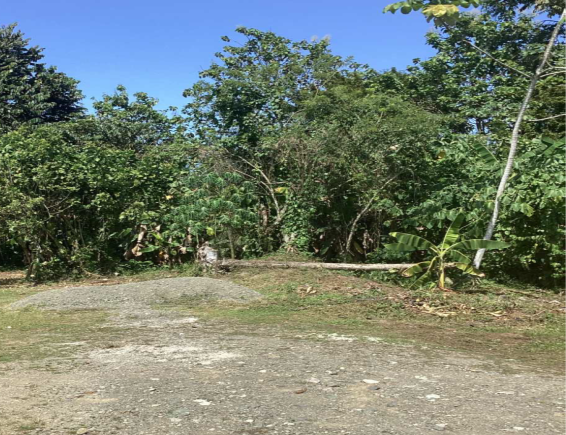 Photo 1 of Terreno Puntarenas Puerto Jiménez (9615-1)
