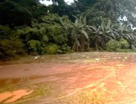 Photo 1 of Terreno Puntarenas Buenos Aires (7138-1) )