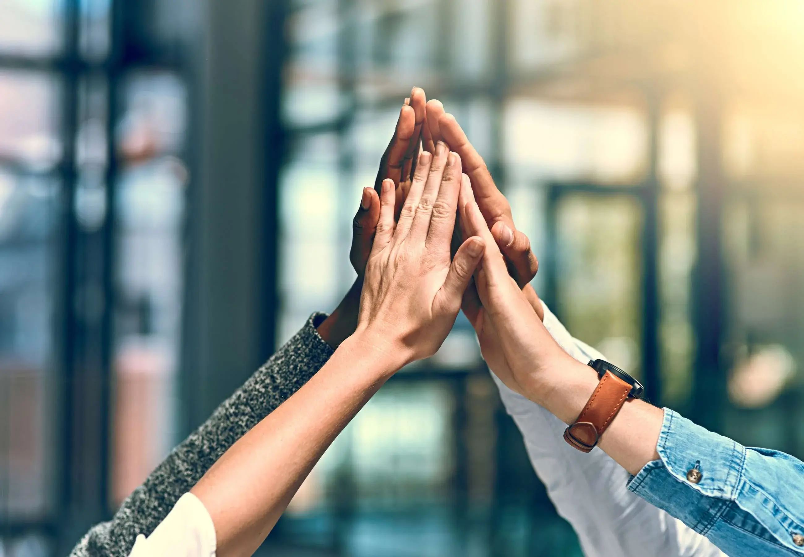 Varias manos unidas en un gesto de celebración y trabajo en equipo