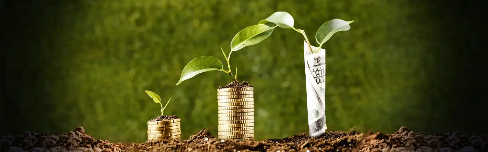 Pilas de monedas y un billete enrollado con plantas creciendo sobre ellos, simbolizando crecimiento económico.